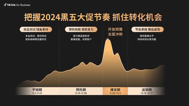 2024黑五在即！TikTok for Business助力商家冲刺大促销量(图4)