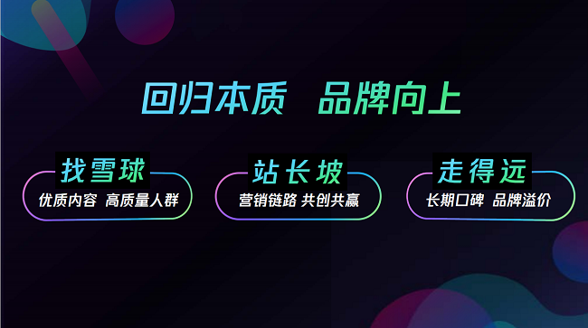 内容向心品牌向上——爱奇艺在2024金投赏分享品牌突破之道(图3)