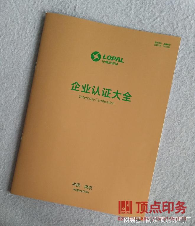 南京特色产品宣传册设计-南京品牌形象样本印刷-窗花印刷(图2)