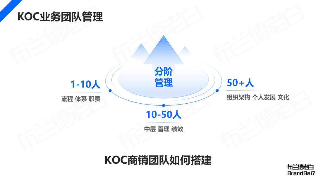 万字解析 2024年品牌KOC营销全域打法(图12)