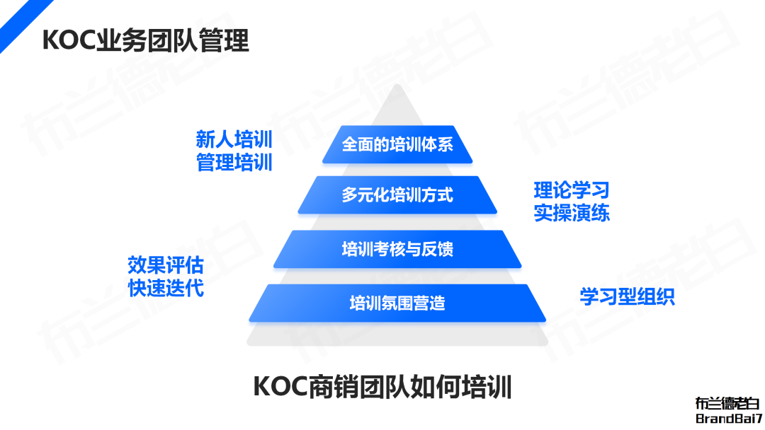 万字解析 2024年品牌KOC营销全域打法(图14)