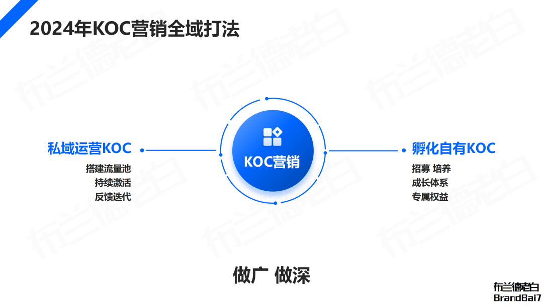 万字解析 2024年品牌KOC营销全域打法(图16)