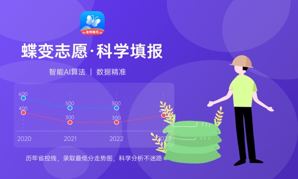 2024靠谱的官网定制公司TOP3：最佳多语言网站建设公司