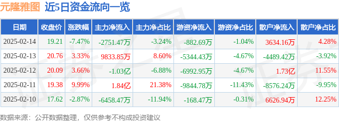 元隆雅图（002878）2月14日主力资金净卖出275147万元